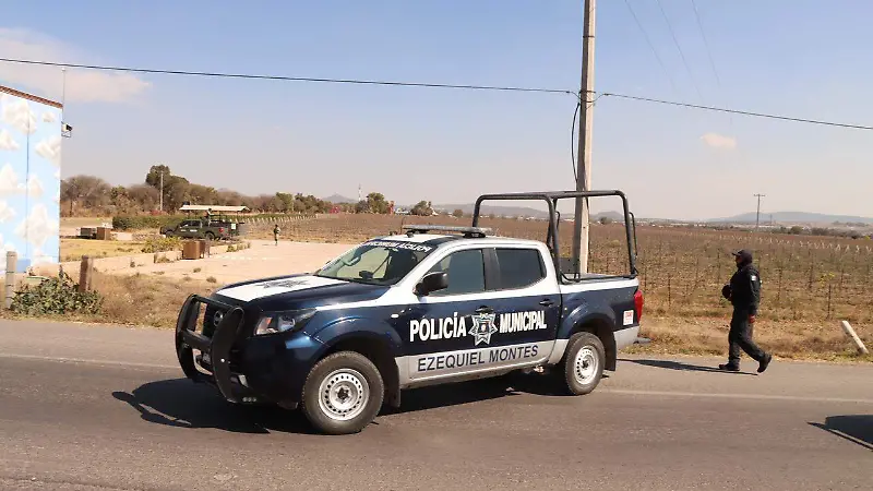 Cateo Viñedos La Redonda 